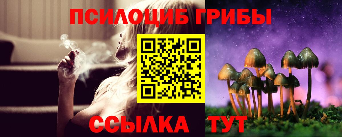 Россия  Псилоцибиновые грибы мицелий  Вход с VPN 